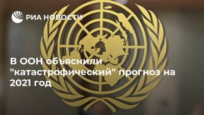 Владимир Кузнецов - Дэвид Бизли - В ООН объяснили "катастрофический" прогноз на 2021 год - ria.ru - Москва