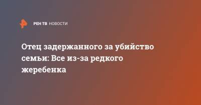 Отец задержанного за убийство семьи: Все из-за редкого жеребенка - ren.tv - Московская обл. - Волоколамск
