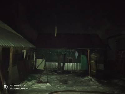Житель Сеченова сгорел при пожаре в бане - vgoroden.ru - Нижегородская обл. - Нижний Новгород