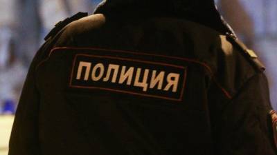 Инцидент с ранением полицейским девочки-подростка попал на видео - 5-tv.ru - Москва