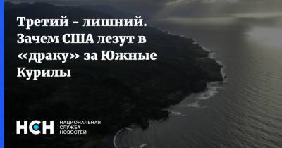 Константин Косачев - Третий лишний. Зачем США лезут в «драку» за Южные Курилы - nsn.fm - Россия - США - Япония