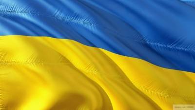 Наталья Никонорова - Владимир Олейник - Донбасс поделился с ООН своим планом по урегулированию на Украине - riafan.ru - Киев - ДНР - ЛНР