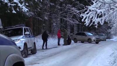 Убийство семьи: на странного дачника постоянно жаловались - vesti.ru - Московская обл. - Волоколамск