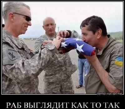 США официально поблагодарили ВСУ за войну в Донбассе - politnavigator.net - США - Украина - Киев - Крым