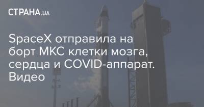SpaceX отправила на борт МКС клетки мозга, сердца и COVID-аппарат. Видео - strana.ua - Украина