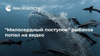 "Милосердный поступок" рыбаков попал на видео - ria.ru - Москва - Индия