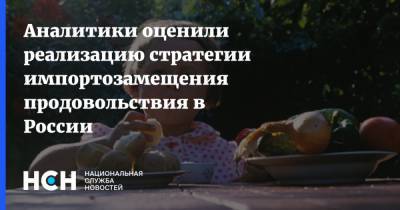 Аналитики оценили реализацию стратегии импортозамещения продовольствия в России - nsn.fm - Норвегия
