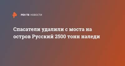 Спасатели удалили с моста на остров Русский 2500 тонн наледи - ren.tv - Приморье край