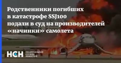 Родственники погибших в катастрофе SSJ100 подали в суд на производителей «начинки» самолета - nsn.fm - Париж - Шереметьево