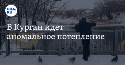 Илья Винштейн - В Курган идет аномальное потепление - ura.news - Курганская обл.