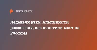 Леденели руки: Альпинисты рассказали, как очистили мост на Русском - ren.tv - Владивосток