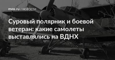 Валерий Чкалов - Суровый полярник и боевой ветеран: какие самолеты выставлялись на ВДНХ - mos.ru - Москва