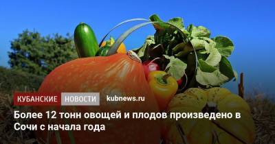 Более 12 тонн овощей и плодов произведено в Сочи с начала года - kubnews.ru - Сочи