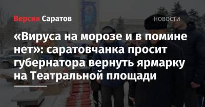 Валерий Радаев - «Вируса на морозе и в помине нет»: саратовчанка просит губернатора вернуть ярмарку на Театральной площади - nversia.ru