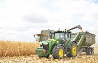 Урожайность кукурузы в ИМК на 77% превышает средний показатель в Украине - agroportal.ua