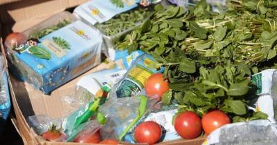 Россия не смогла полностью заменить импортные продукты местными товарами - klops.ru