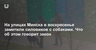 На улицах Минска в воскресенье заметили силовиков с собаками. Что об этом говорит закон - news.tut.by - Минск