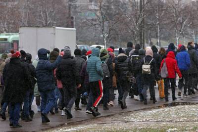 Почти 700 белорусам разрешили въезд в Литву из-за преследований и репрессий на родине - news.24tv.ua - Белоруссия - Литва