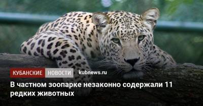 В частном зоопарке незаконно содержали 11 редких животных - kubnews.ru - Анапа