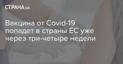 Ингрида Шимоните - Вакцина от Covid-19 попадет в страны ЕС уже через три-четыре недели - strana.ua