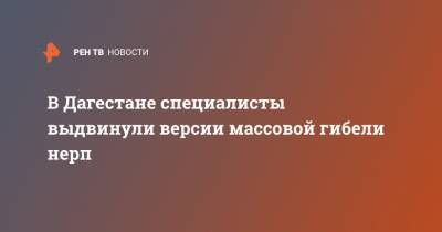 В Дагестане специалисты выдвинули версии массовой гибели нерп - ren.tv - респ. Дагестан