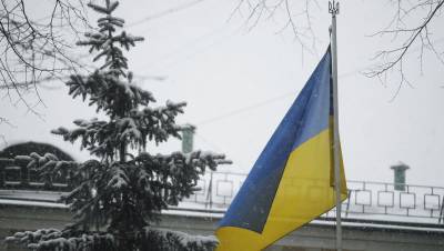 На Украине зафиксировали вспышку высокопатогенного птичьего гриппа - gazeta.ru - Англия - Япония - Николаевская обл.
