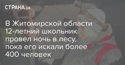 В Житомирской области 12-летний школьник провел ночь в лесу, пока его искали более 400 человек - strana.ua - Житомирская обл.