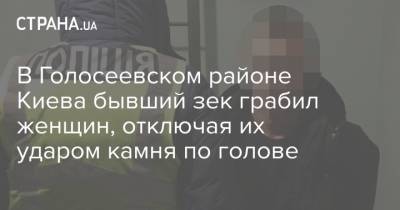 В Голосеевском районе Киева бывший зек грабил женщин, отключая их ударом камня по голове - strana.ua - Киев - район Голосеевский, Киев