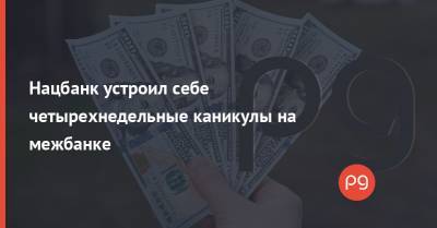 Нацбанк устроил себе четырехнедельные каникулы на межбанке - thepage.ua