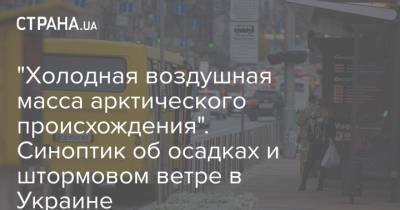 Наталья Диденко - "Холодная воздушная масса арктического происхождения". Синоптик об осадках и штормовом ветре в Украине - strana.ua - Киев - Крым - Киевская обл. - Винницкая обл. - Одесская обл.