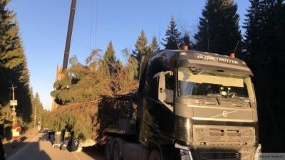 Александр Беглов - Дворцовую площадь в Петербург украсят главной новогодней елью - politros.com - Санкт-Петербург