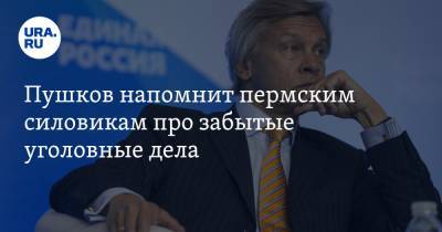 Алексей Пушков - Игорь Краснов - Пушков напомнит пермским силовикам про забытые уголовные дела. Он идет к генпрокурору - ura.news - Пермский край