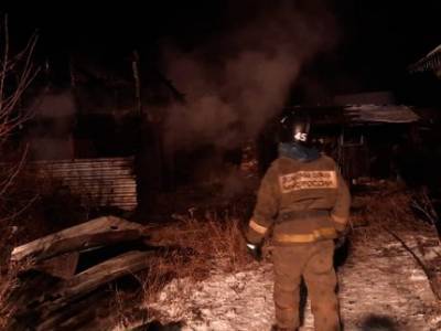 В Башкирии минувшей ночью в огне погибли пять взрослых и двое детей - ufatime.ru - Башкирия - район Бижбулякский - район Баймакский