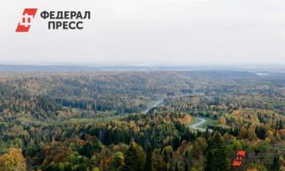 Виктория Абрамченко - Новый закон о лесовосстановлении примут в 2021 году - fedpress.ru - Москва