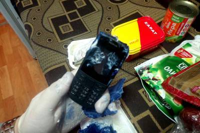 Уфсин - В Рязани заключённым пытались передать мобильные телефоны в пачках от сыра и сахара - 7info.ru - Рязань