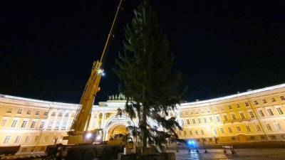 В Северной столице на Дворцовой площади впервые за 7 лет установлена живая новогодняя елка - delovoe.tv - Санкт-Петербург - Петербург