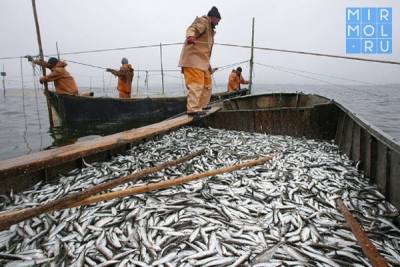 Более 1,5 млн редких видов рыбы выпущено в водоемы Дагестана - mirmol.ru - респ. Дагестан
