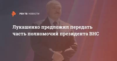 Александр Лукашенко - Лукашенко предложил передать часть полномочий президента ВНС - ren.tv - Белоруссия - Конституция