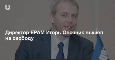 Директор EPAM Игорь Овсяник вышел на свободу - news.tut.by