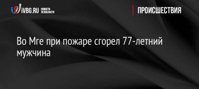 Во Мге при пожаре сгорел 77-летний мужчина - ivbg.ru - Ленинградская обл. - р-н Кировский