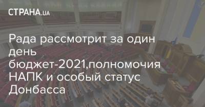 Ярослав Железняк - Рада рассмотрит за один день бюджет-2021,полномочия НАПК и особый статус Донбасса - strana.ua - Донбасс - Парламент