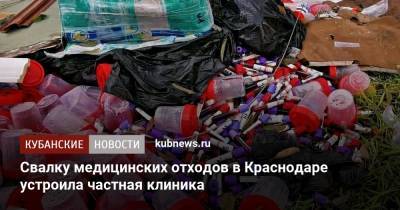 Свалку медицинских отходов в Краснодаре устроила частная клиника - kubnews.ru - Краснодар