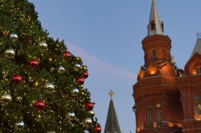 На Манежной площади в Москве установили новогоднюю елку - aif.ru - Москва - Салехард - Ямал