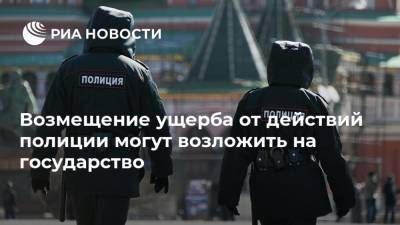 Игорь Зубов - Возмещение ущерба от действий полиции могут возложить на государство - ria.ru - Москва