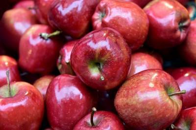 В России запретят импорт яблок и томатов из Азербайджана - aif.ru - Азербайджан - Россельхознадзор