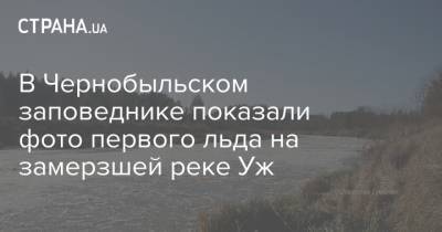 В Чернобыльском заповеднике показали фото первого льда на замерзшей реке Уж - strana.ua