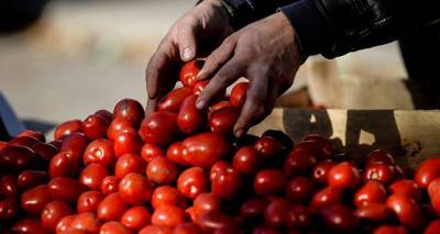 Россельхознадзор с 10 декабря запрещает импорт в Россию томатов и яблок из Азербайджана - ru.armeniasputnik.am - Азербайджан - Россельхознадзор