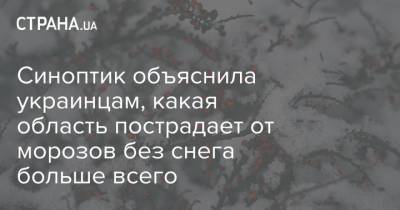 Синоптик объяснила украинцам, какая область пострадает от морозов без снега больше всего - strana.ua - Украина - Луганская обл.