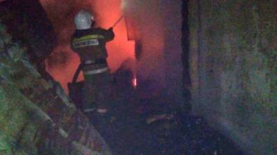 Три человека погибли при пожаре в Татарстане - vesti.ru - респ. Татарстан - район Алексеевский