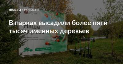 Петр Бирюков - В парках высадили более пяти тысяч именных деревьев - mos.ru - Москва